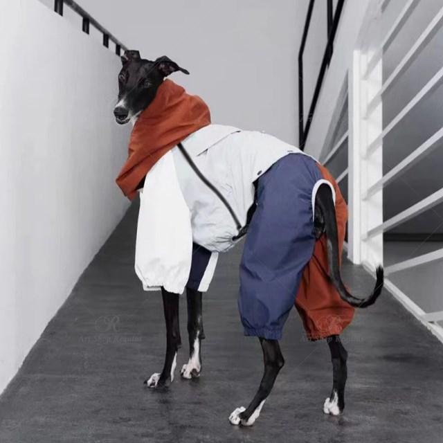 グリーハウンドのイタリアンウィペットジャケット,軽量,防風,小型および大型犬用 XXLの画像