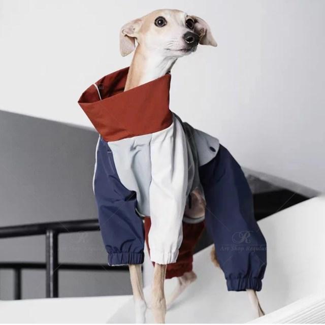 グリーハウンドのイタリアンウィペットジャケット,軽量,防風,小型および大型犬用 XXLの画像