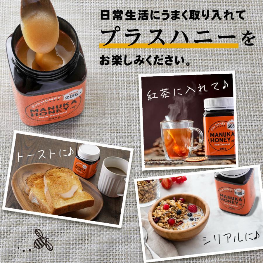 plusHONEY（プラスハニー） マヌカハニー MGO585+ 500g｜はちみつ 大