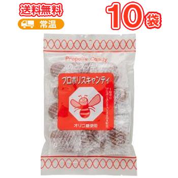 ソーキ プロポリスキャンディ 100g×10袋/ 栄養補助食 プロポリス おやつ あめ 飴 アメ キャンディ のど飴 ニッキ メントール | 
