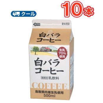 白バラ コーヒー 500ml×10本 クール便/無添加/珈琲/鳥取/大山/酪農 香料・添加物不使用｜plusin