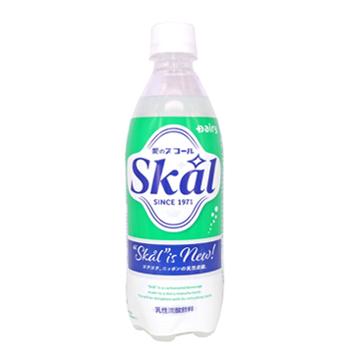 Skal 南日本酪農協同 デーリィ スコール 500ml× 24本入/2ケース 九州 