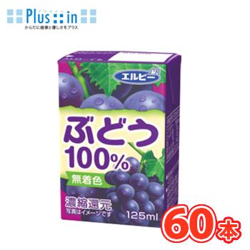 エルビー ぶどう100％  125ml紙パック×30本/2ケース | エルビー