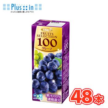 エルビーフルーツセレクション グレープ100 200ml×24本入/2ケース 紙パック〔果汁100％ ぶどうジュース グレープジュース〕 | FRUITS SELECTION