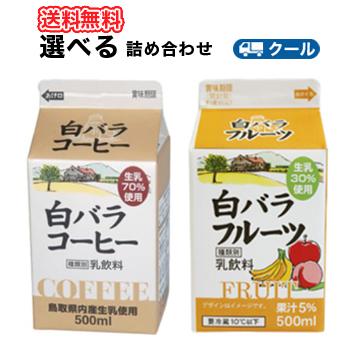 白バラ コーヒー・フルーツ 選べるセット2種類×3本【500ml×6本入