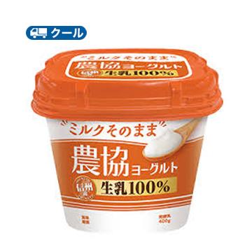 ヨーグルト メイトー 協同乳業 農協ヨーグルト 400g×16個 【クール便】〔メイトー