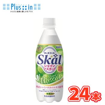 南日本酪農 デーリィ   スコール シャインマスカット 500ml×24本入 PET 九州 南日本酪農協同デーリィ  愛のスコール　500ml　シャインマスカット　炭酸飲料 | Skal
