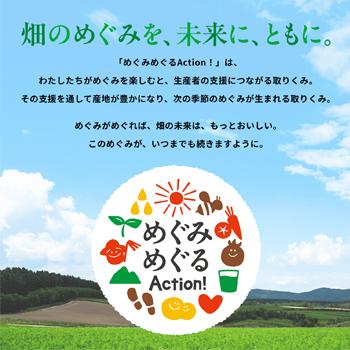 カゴメ 野菜生活100　長野シャインマスカットミックス　195ml ×24本入/2ケース 紙パック | 野菜生活100 | 07