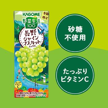 カゴメ 野菜生活100　長野シャインマスカットミックス　195ml ×24本入/4ケース 紙パック | 野菜生活100 | 02