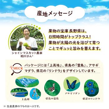 カゴメ 野菜生活100　長野シャインマスカットミックス　195ml ×24本入 紙パック | 野菜生活100 | 06