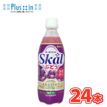 南日本酪農 デーリィ スコールぶどう 500ml×24本入 PET 九州 南日本酪農協同デーリィ  愛のスコール　500ml　葡萄　ぶどう　ブドウ　炭酸飲料 | Skal