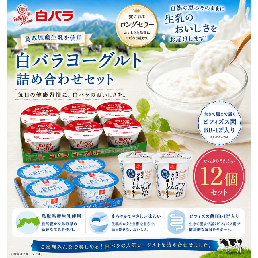 白バラ　ヨーグルト詰め合わせセット クール便 ギフト クリームヨーグルト/生乳ヨーグルト/ヨーグルト ソーシャルギフト 贈り物 プレゼント | 白バラ | 01