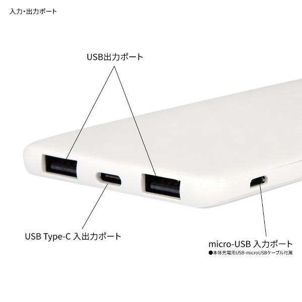 メール便送料無料 ムーミン モバイルバッテリー USB/USB Type-C 4000mAhリチウムイオンポリマー充電器2.1A  MMN-163A ムーミン プレゼント ギフト 母の日｜plusmart｜04