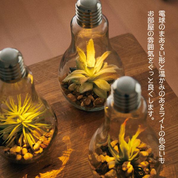 電球型 インテリアライト Terrarium テラリウム B EF-RL02B