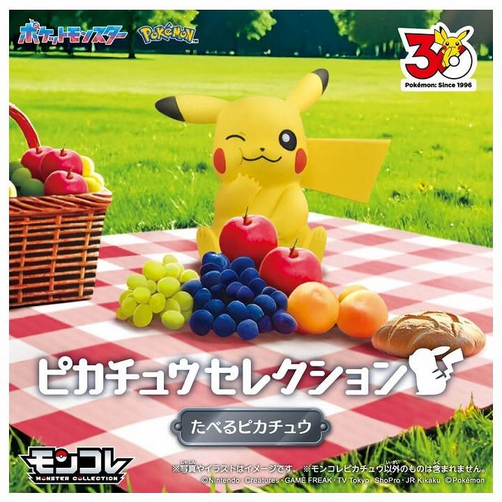 タカラトミー（TAKARA TOMY） ポケットモンスター ポケモン30周年記念
