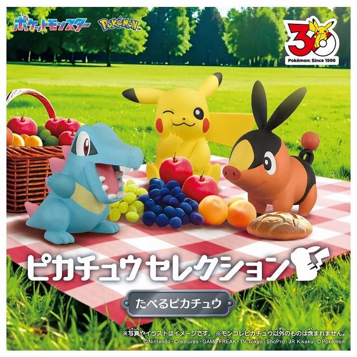 タカラトミー（TAKARA TOMY） ポケットモンスター ポケモン30周年記念