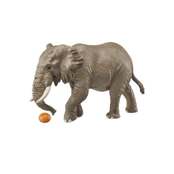 アニア AS-02 アフリカゾウ オレンジ付き タカラトミー プレゼント おもちゃ 超ポイントアップ祭 ギフト 【ネット限定】