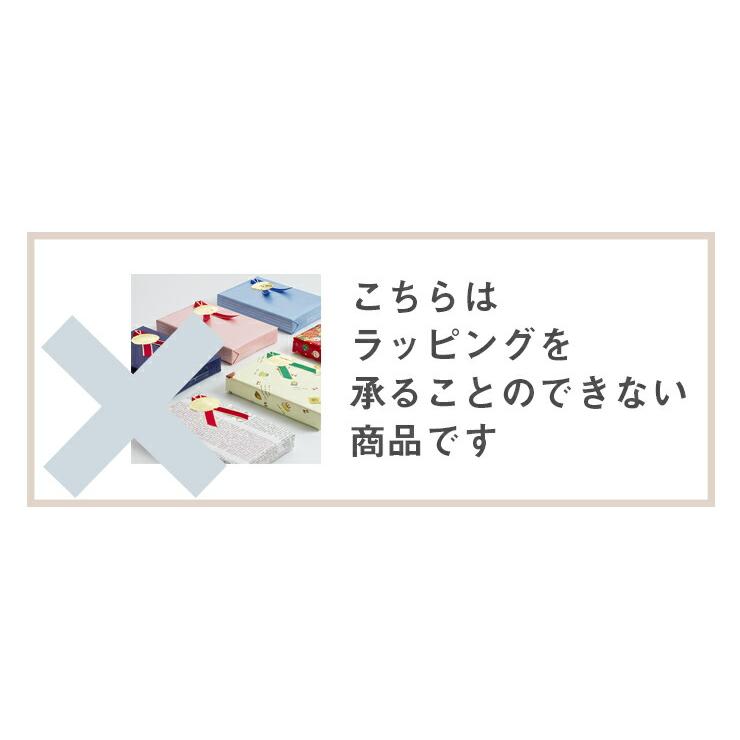 すすめゾウさん 3503 プラントイ PLANTOYS 乗用玩具 乗り物 象 どうぶつ 動物 木のおもちゃ 木製玩具 知育玩具 ギフト プレゼントの画像