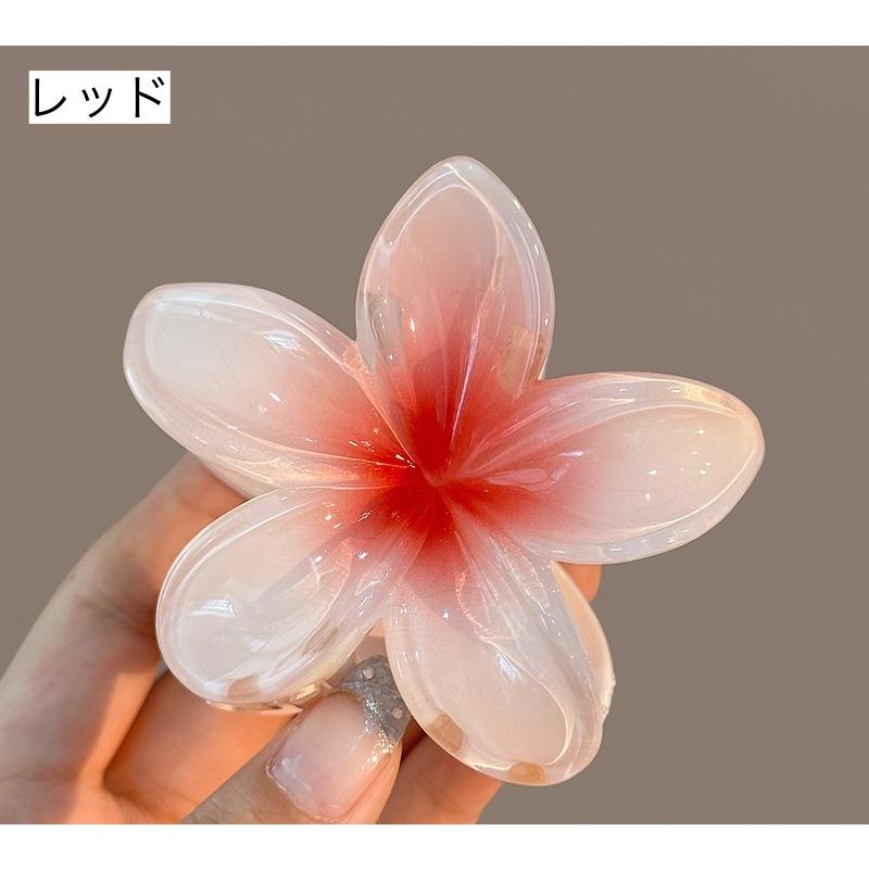 plusnao（プラスナオ） ヘアクリップ バンスクリップ レディース 女性