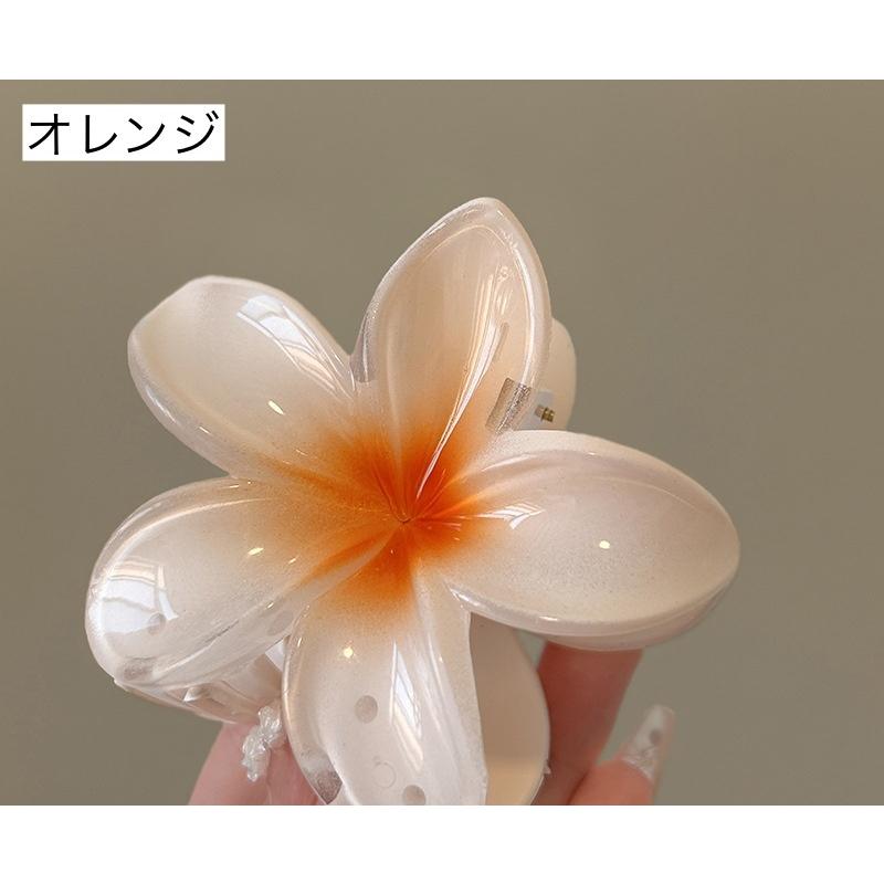 plusnao（プラスナオ） ヘアクリップ バンスクリップ レディース 女性