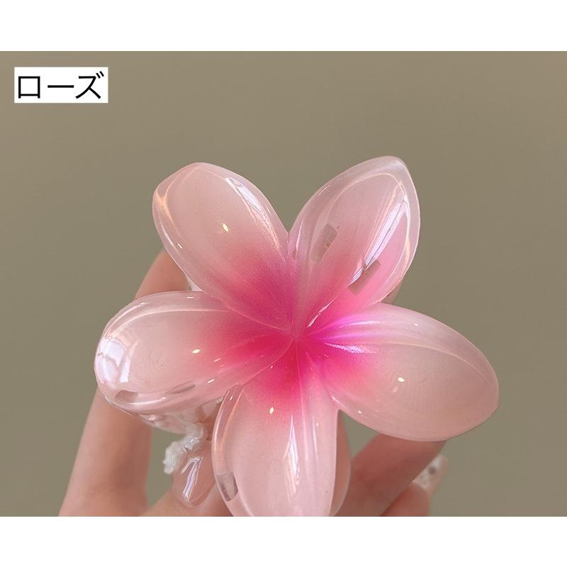 plusnao（プラスナオ） ヘアクリップ バンスクリップ レディース 女性