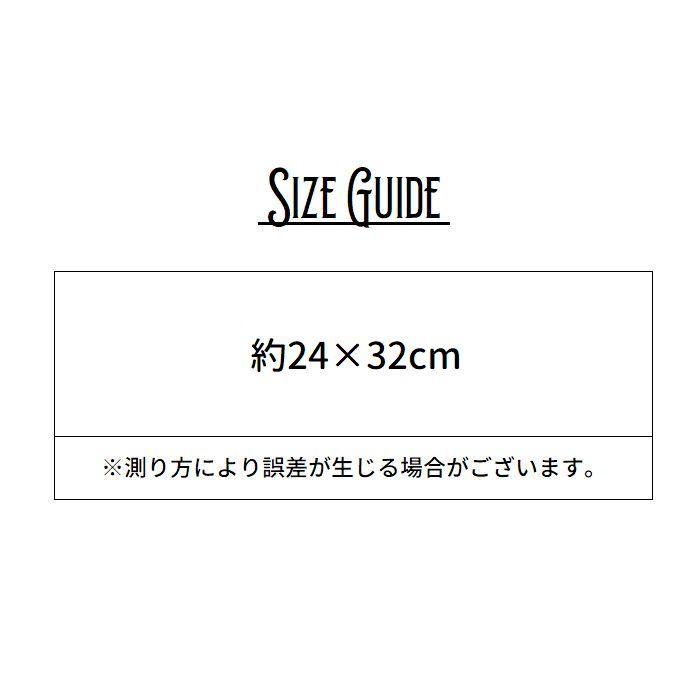 巾着袋 持ち手付き ディズニープリンセス Disney 24 32cm 日本製 きんちゃく袋 for キッズ 子供 こども 女の子 キャラクター 通園｜plusnao｜02