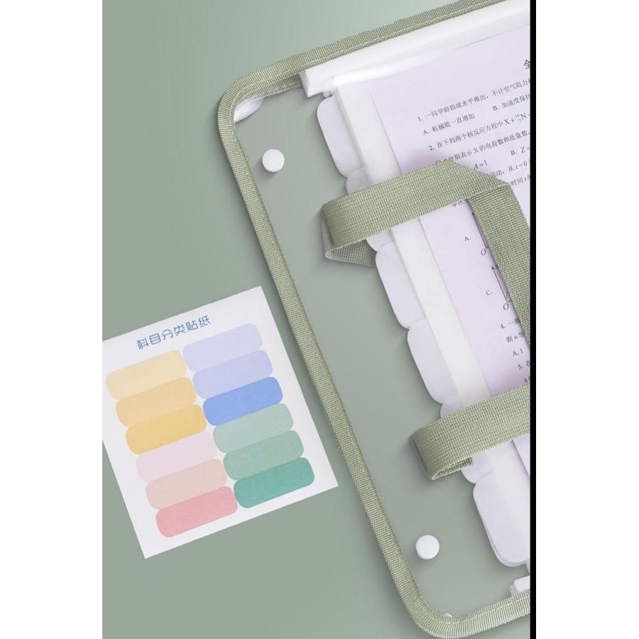 ドキュメントファイル A4 ファイルケース 蛇腹 じゃばら 13ポケット 約