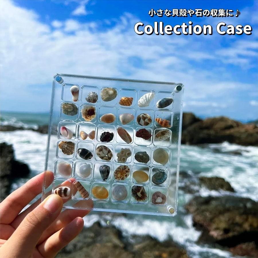 コレクションケース 貝殻 石 ディスプレイ 展示 6段 6列 36マス 磁石