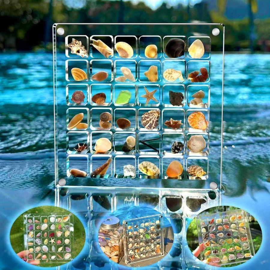 コレクションケース 貝殻 石 ディスプレイ 展示 6段 6列 36マス 磁石