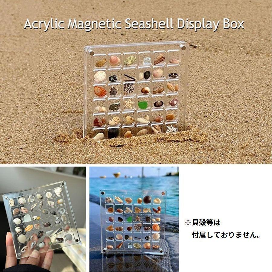 コレクションケース 貝殻 石 ディスプレイ 展示 6段 6列 36マス 磁石