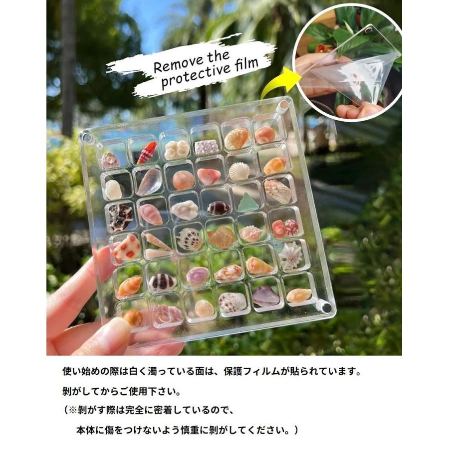 コレクションケース 貝殻 石 ディスプレイ 展示 6段 6列 36マス 磁石