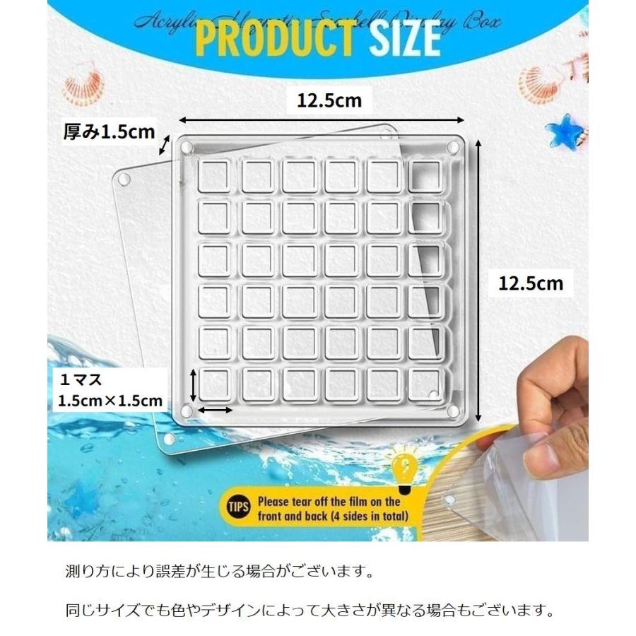 コレクションケース 貝殻 石 ディスプレイ 展示 6段 6列 36マス 磁石