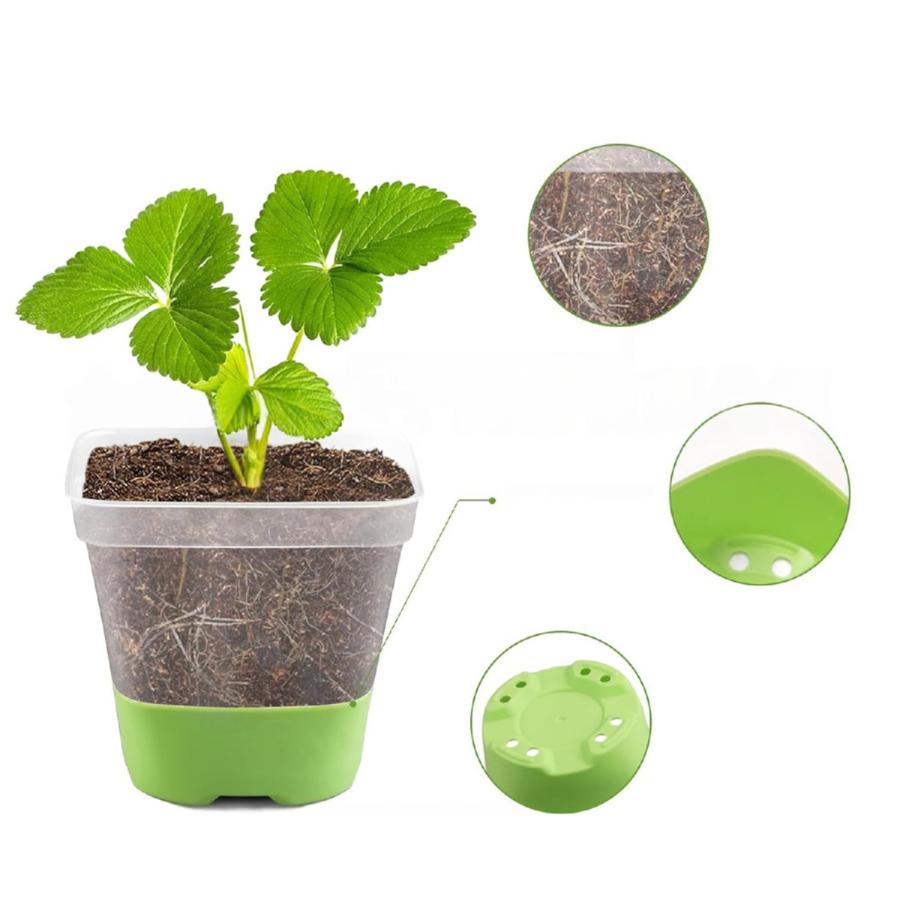 BOTANIZE プランター　未使用　6個セット BOTANIZE プランター 未使用 6個セット