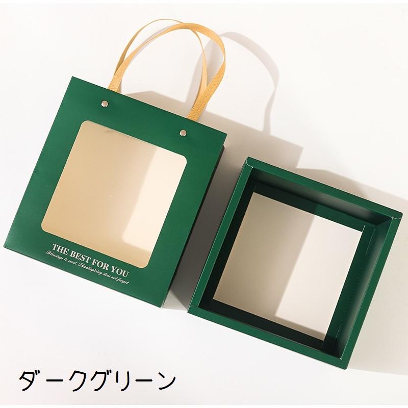 plusnao（プラスナオ） 紙袋 内箱付き 単品 ラッピングバッグ ギフト