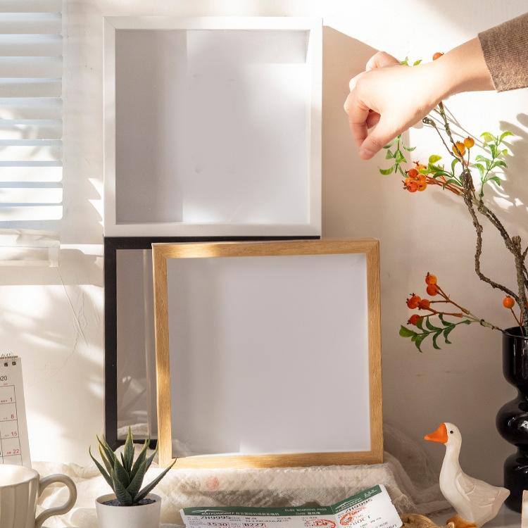 plusnao（プラスナオ） ボックスフレーム チケットボックス 壁掛け