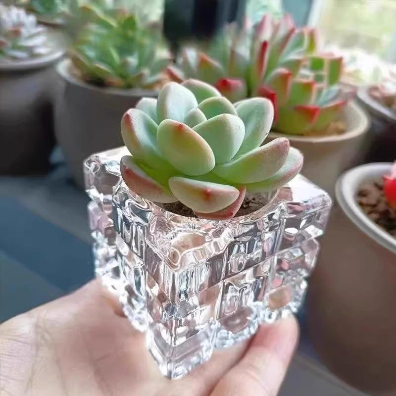 花瓶 フラワーポット フラワーベース 5個セット 多肉植物用 ガラス