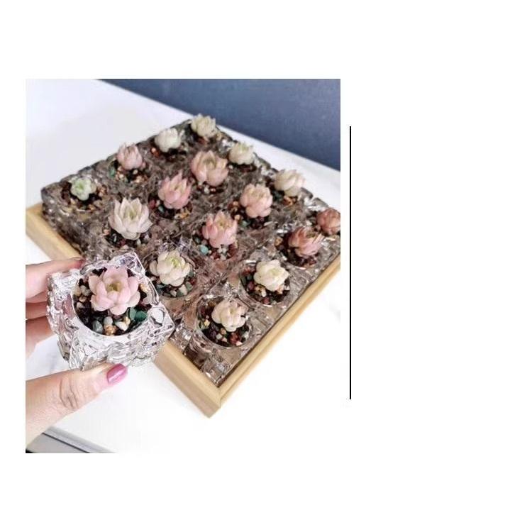 花瓶 フラワーポット フラワーベース 5個セット 多肉植物用 ガラス