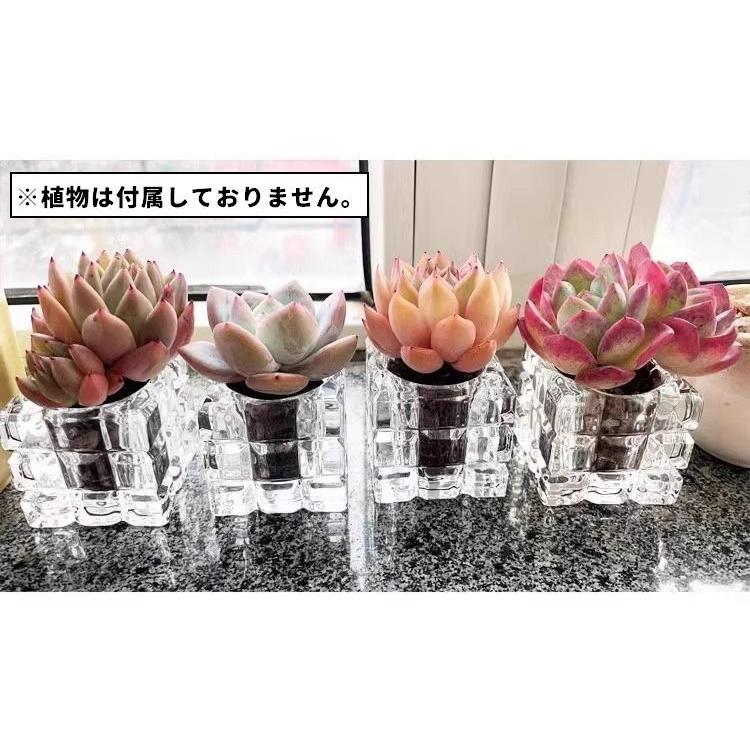 花瓶 フラワーポット フラワーベース 5個セット 多肉植物用 ガラス