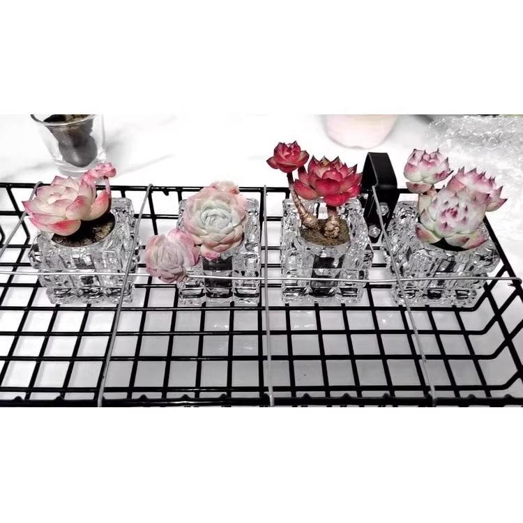 花瓶 フラワーポット フラワーベース 5個セット 多肉植物用 ガラス