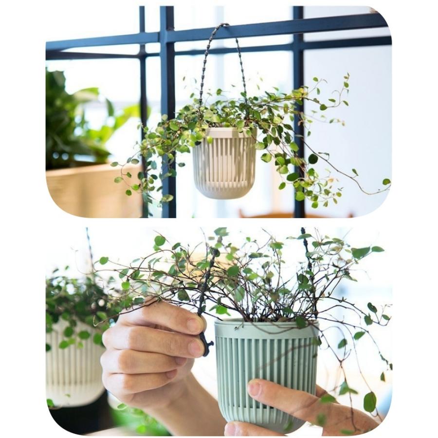ハンギングプランター 植木鉢 吊るす 吊り下げ 多肉植物 ミニサイズ 花