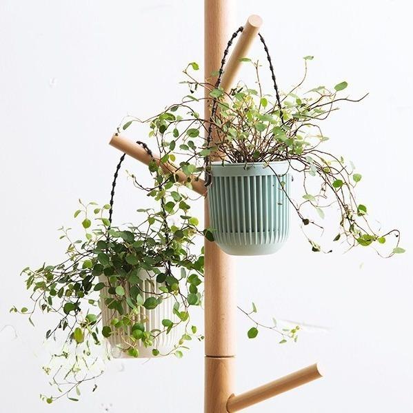 ハンギングプランター 植木鉢 吊るす 吊り下げ 多肉植物 ミニサイズ 花