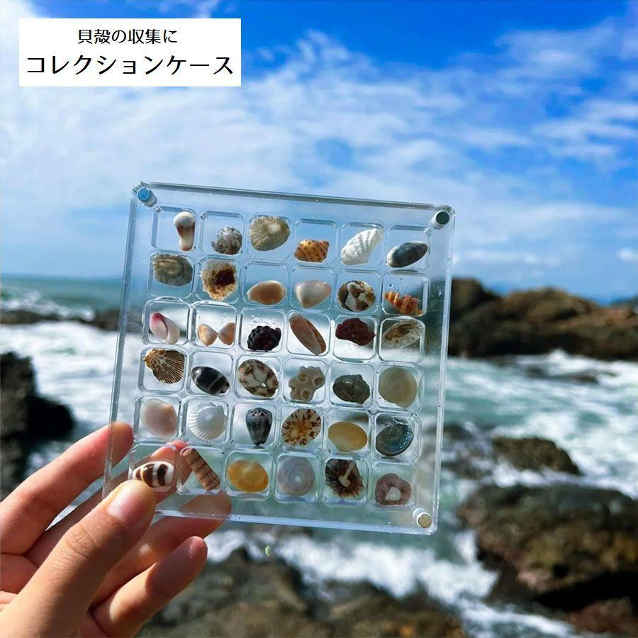 コレクションケース ディスプレイ ケース 6段 6列 36個 アクリル 貝