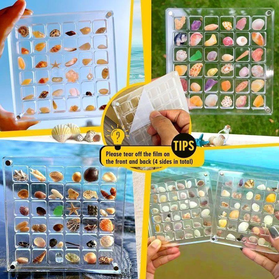 コレクションケース ディスプレイ ケース 6段 6列 36個 アクリル 貝