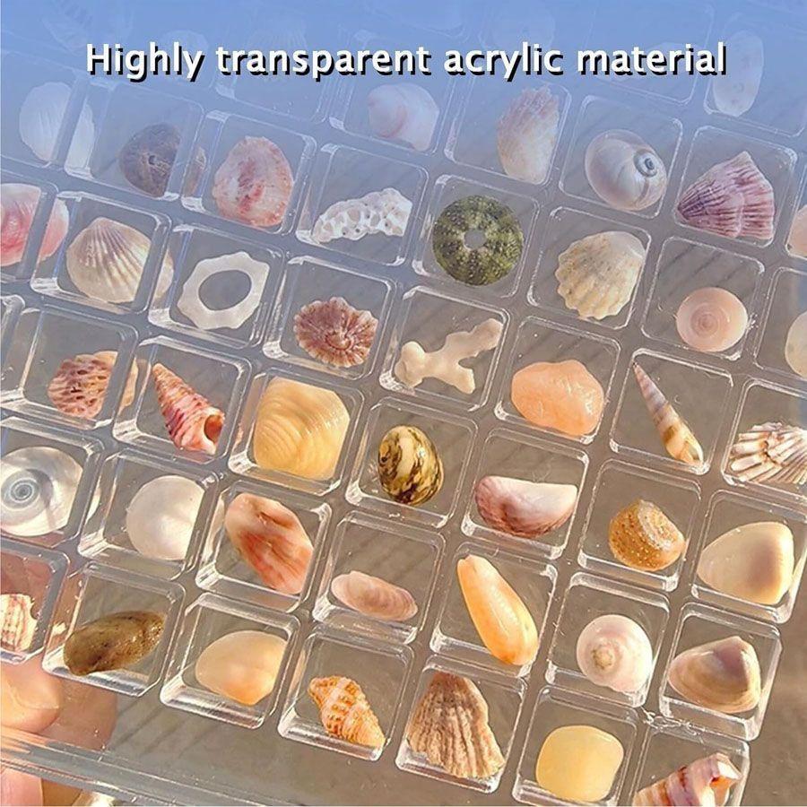 コレクションケース ディスプレイ ケース 6段 6列 36個 アクリル 貝