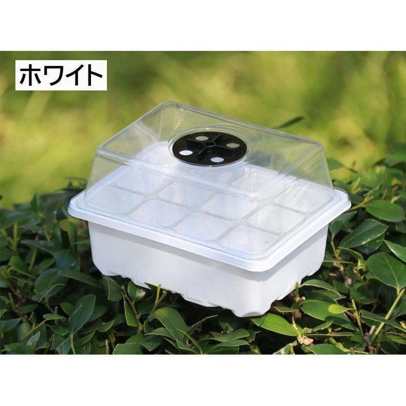 育苗ポット 12穴 蓋付き 透明カバー 通気口 育苗トレイ 苗箱 種まき