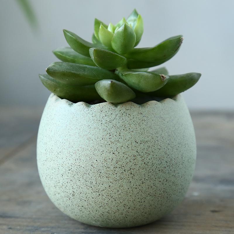 花瓶 フラワーポット 単品 1個 プランター フラワーベース ミニサイズ 