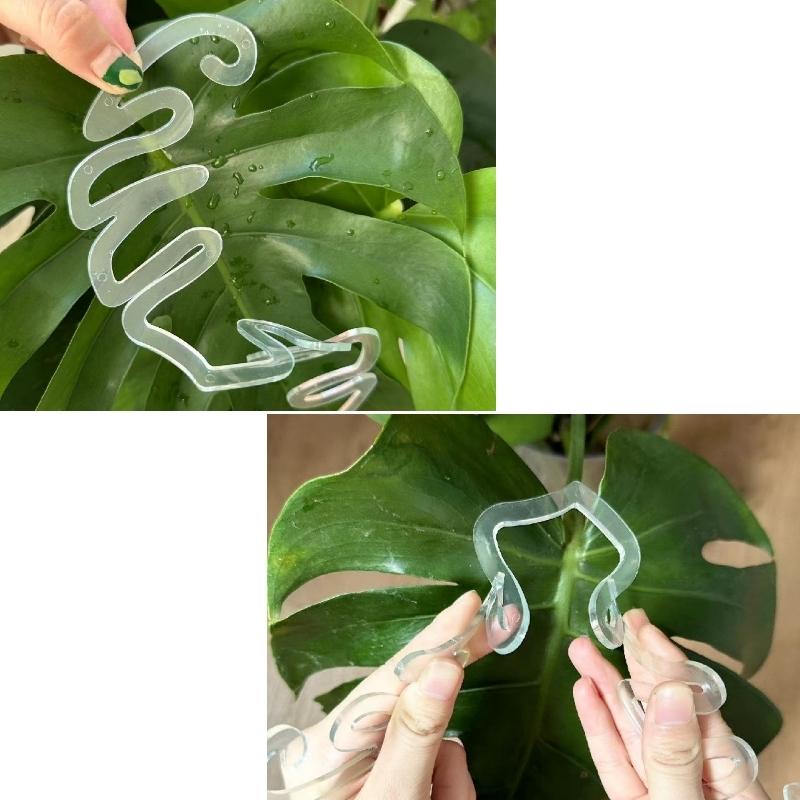 観葉植物 アロカシア 2種セット 珍しい希少なアロカシア2種セット*(^o^)/* アートフラワー