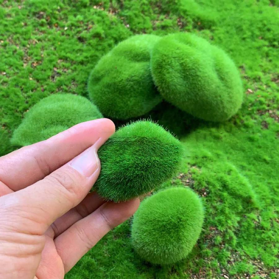 フェイク苔石 5個セット 苔玉 石 岩 コケリウム テラリウム ふさふさ
