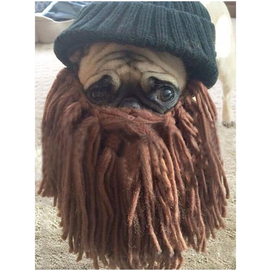 plusnao（プラスナオ） メンズ レディース キッズ 2点セット ヒゲ付き