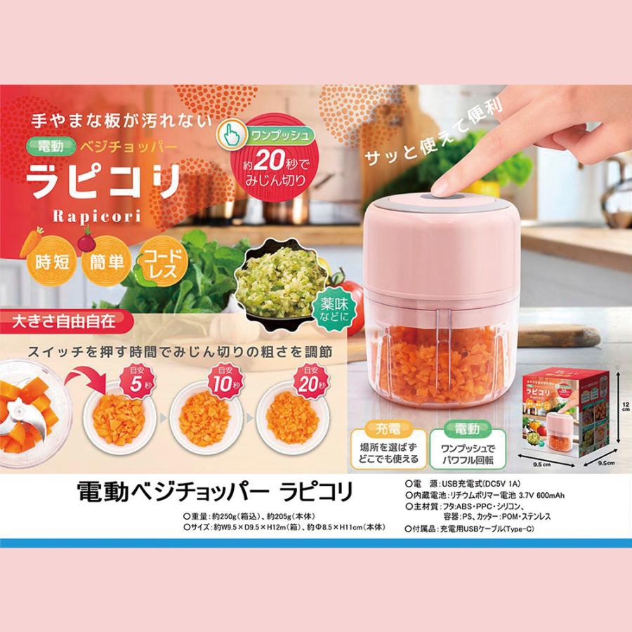 plusnao（プラスナオ） フードプロセッサー 電動ベジチョッパー